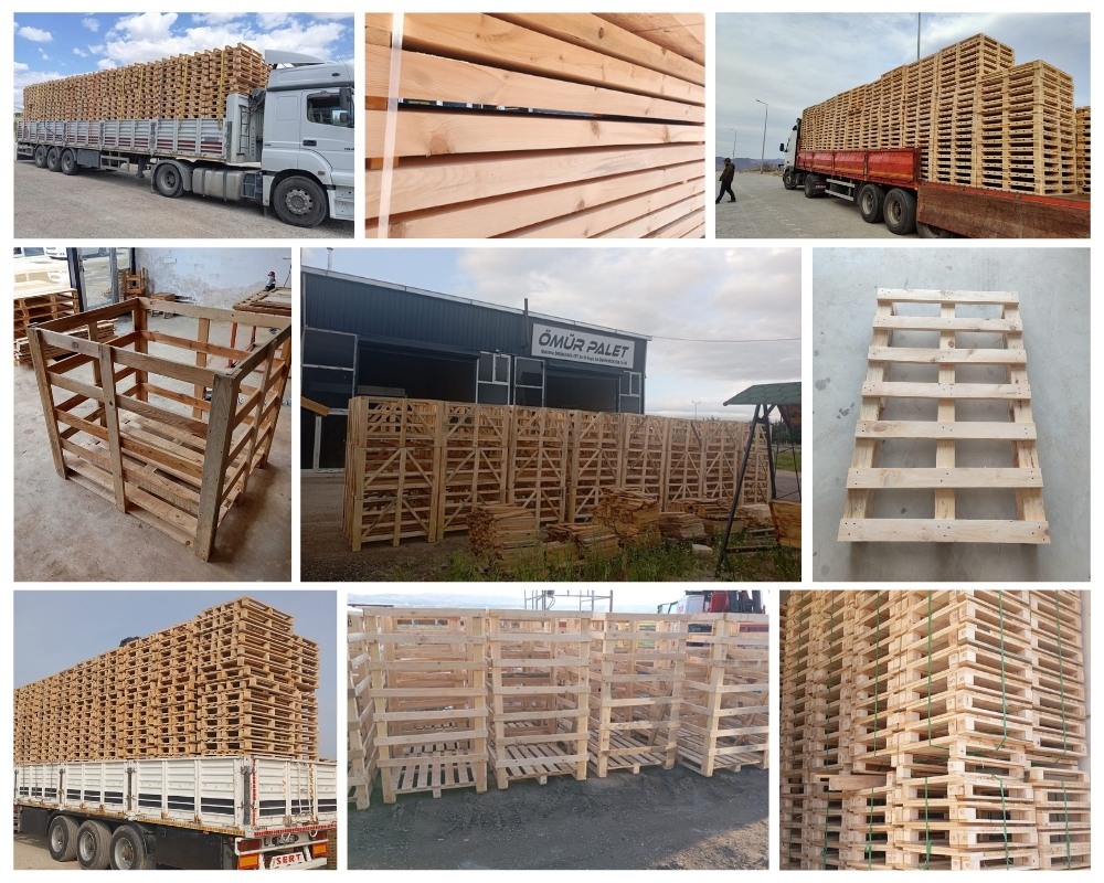 Pernis Houten Kisten, Europallets Groothandel Kopen